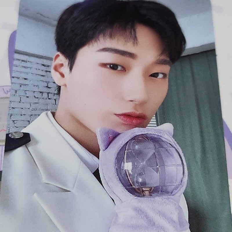 Ateez Portable Flash Lamp Cove - Decor Lighting Fans 评论和价格
